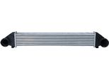 Nrf 30900 - Intercooler Oe 1695000000 Per Classe A (W169), Classe B (W245)