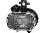 Hella 1NL 013 712-011 - Fendinebbia Oe 26 15 508 62R, Sinistro Per Clio V, Talisman, Zoe Bfm