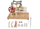 Modello Di Motore Stirling, Modello Fisico Scientifico, Modello Di Motore Stirling Dorato A Due Cilindri, Giocattolo Educativo