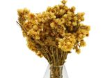 Bouquet Di Fiori Secchi In Filigrana Per Una Decorazione Versatile