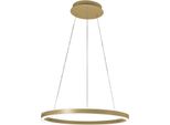 Lampada A Sospensione Led Palau 60W 3000K Dimmerabile Ø60Cm Oro Opaco - Design Moderno In Metallo E Metacrilato