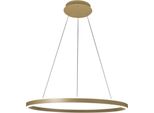 Lampada A Sospensione Led Palau 64W 3000K Dimmerabile Ø80 Cm Oro Opaco - Lampadario In Metallo E Metacrilato