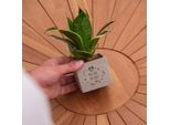 Vasi Per Piante Congreetz® Con Sansevieria | Il Regalo Personalizzato Perfetto Per Ogni Occasione
