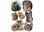 Etichette Decorative Decor Gattini Fotogenici Ve=10X3 Fogli