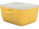 Set Di Cassetti Cosy A4 2 Cassetti In Polistirolo Giallo/Grigio Chiaro Confezione Da 72 Pezzi