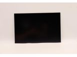Lenovo Display Auo 14.0 Wuxga Ag (5D10V82395)