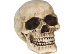Scheletro Teschio Ornamento Halloween Decorazione Teschio Gotico Horror Design Casa Infestata Decorazione Artistica Spaventosa Atmosfera Inquietante, Colore: Beige