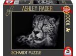 Schmidt Spiele Pu1000T.A.Rader Speed, Cheetah, Nel Segno Della Grazia