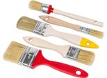 Set Di Pennelli 5 Pezzi.