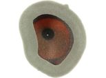 Twin Air Powerflow Luftfiltersatz 792550 - 151118FR 792550 Passend FüR Kawasaki