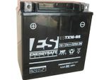 Batteria Energysafe ESTX16-BS 12V/14AH Sigillata Con Acido