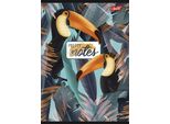 Notizbuch A4/80K Gerippt Lam Mix A'5 6006