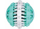 Denta Fun Ball ø 7 Cm