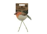 Gatto Selvatico Robin (Pettirosso)