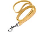 Guinzaglio Per Cani Gloria Oasis 1,5 X 100 Cm Giallo