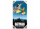 Sd Toys - Plakat Szklany Batman I Robin Dc Comics - Akcesorium Premium