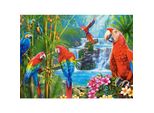 Castorland Parrot Encounter Puzzle 2000 Pezzi
