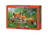 Castorland Puzzle Gigli Del Trä Ume 500 Pezzi