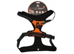 Avvistato! Imbracatura Pro Arancione Xl