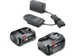 Bosch Home & Garden 1600A027U9 Bosch Home & Garden Werkzeugakkus Mit LadegeräT Starter-Set 18V Li-Ion 1X 2,0 + 1X 4.0 Ah