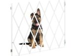 Barriera Per Cani Di Grandi Dimensioni, Bambù Naturale