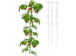 Supporti Per Piante Grigi Con Anelli, 120 Cm