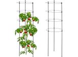 2 Supporti Per Piante Con Anelli, 90 Cm
