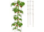 Supporti Per Piante Marroni Con Anelli, 120 Cm