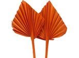 Foglie Di Palma Arancione 65 Pezzi - Foglie Di Palma Esotiche E Decorative Per Il Design Creativo E Il Florovivaismo