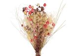 Bouquet Di Fiori Secchi Boho Con Knapweed E Cardo Fragola