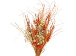 Composizione Decorativa Di Fiori Secchi Di Cardo E Achillea In Stile Casa Di Campagna
