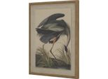 Hill Interiors - Quadro Da Parete "Flora & Fauna Collection"", Heron HI5169 (50 Cm X 2 Cm X 40 Cm) (Marrone/Bianco/Nero)"