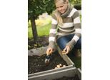 Cazzuola Per Trapianti Fiskars Premium Fiskars Premium 137210