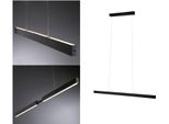Paulmann Led Pendelleuchte "Led Pendelleuchte Aptare Dimmbar", Schwarz, 2, H: 150Cm, 1 Stk., Leuchten, Memoryfunktion, Led Pendelleuchte