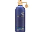 Montale Paris - Aoud Ambre Edp 100Ml