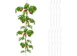 Set Di 10 Aste A Spirale Pomodori