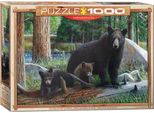 Eurographics Puzzle Neue Entdeckungen Von Kevin Daniel, 1000 Teile, 68 X 48 Cm, 6000-0793