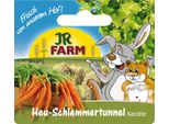 Jr Farm Hay Gourmet Tunnel Carrot 1 Pz.