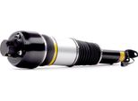 Ridex 4118A0023 - Oe 219 320 11 13 Puntone Sospensione Pneumatica, Anteriore Sinistro Per Cls (C219)