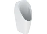 Geberit Orinatoi - Orinatoio Tamina, Senza Acqua, Bianco 116.141.00.1