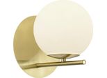 Trio-Leuchten Applique Pure Bh 18X20,60 Cm Oro Lampada A Parete