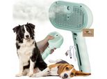 Spazzola Elettrica A Vapore Per Cani Autopulente Menta