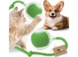 Palla Interattiva Usb Per Cani E Gatti, Led, Verde