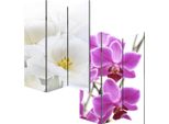 Schermo Fotografico Parete Divisoria M68 ~ 180X120Cm, Orchidea