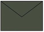 RöSsler Papier 220720571 Coloretti Buste - B6, 5 Pezzi, Foresta