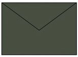 RöSsler Papier 220711571 Coloretti Buste - C5, 5 Pezzi, Foresta