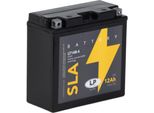 Batteria Agm Sla 12V 12Ah Per Avviamento Moto Ms LT14B-4