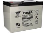 Batteria Al Piombo Yuasa REC80-12I Pb 12V / 80Ah A Prova Di Ciclo, Filettatura Interna M6