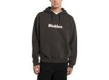 Polo Del Marchio Dickies Del Modello Slayden Gd Grigio