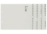Leitz 1304-00-85 1304 Serie Registro - A-Z, Carta, A4 Extra-Large, Per 4 Cartelle, Grigio